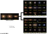 Hubble Tuning Fork - NED-D