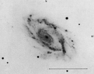 NGC 3646