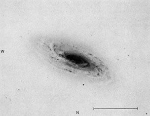 NGC 5005